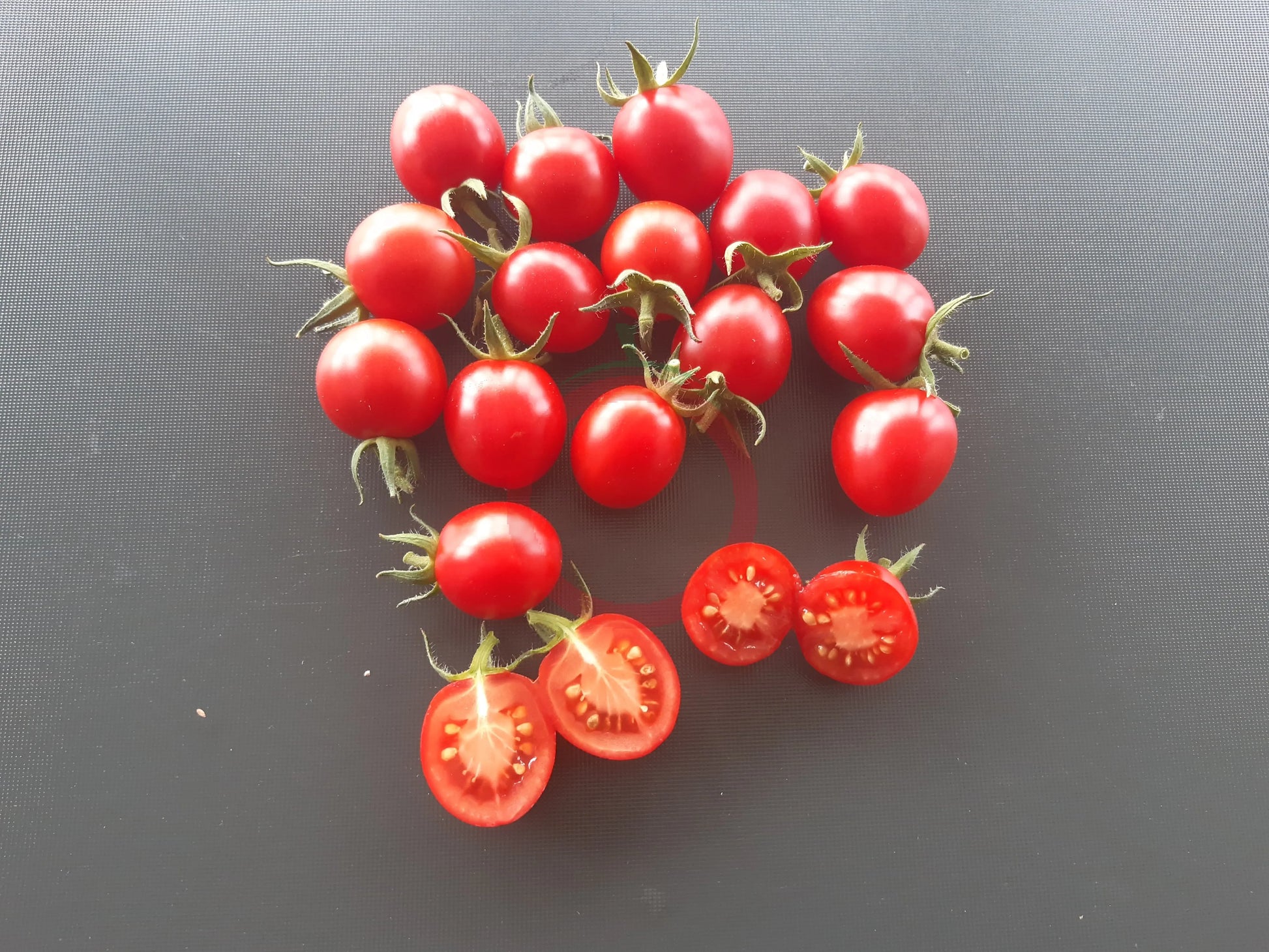 Canneberge Sucreé DER TOMATENFLÜSTERER