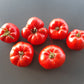 Capricorn DER TOMATENFLÜSTERER