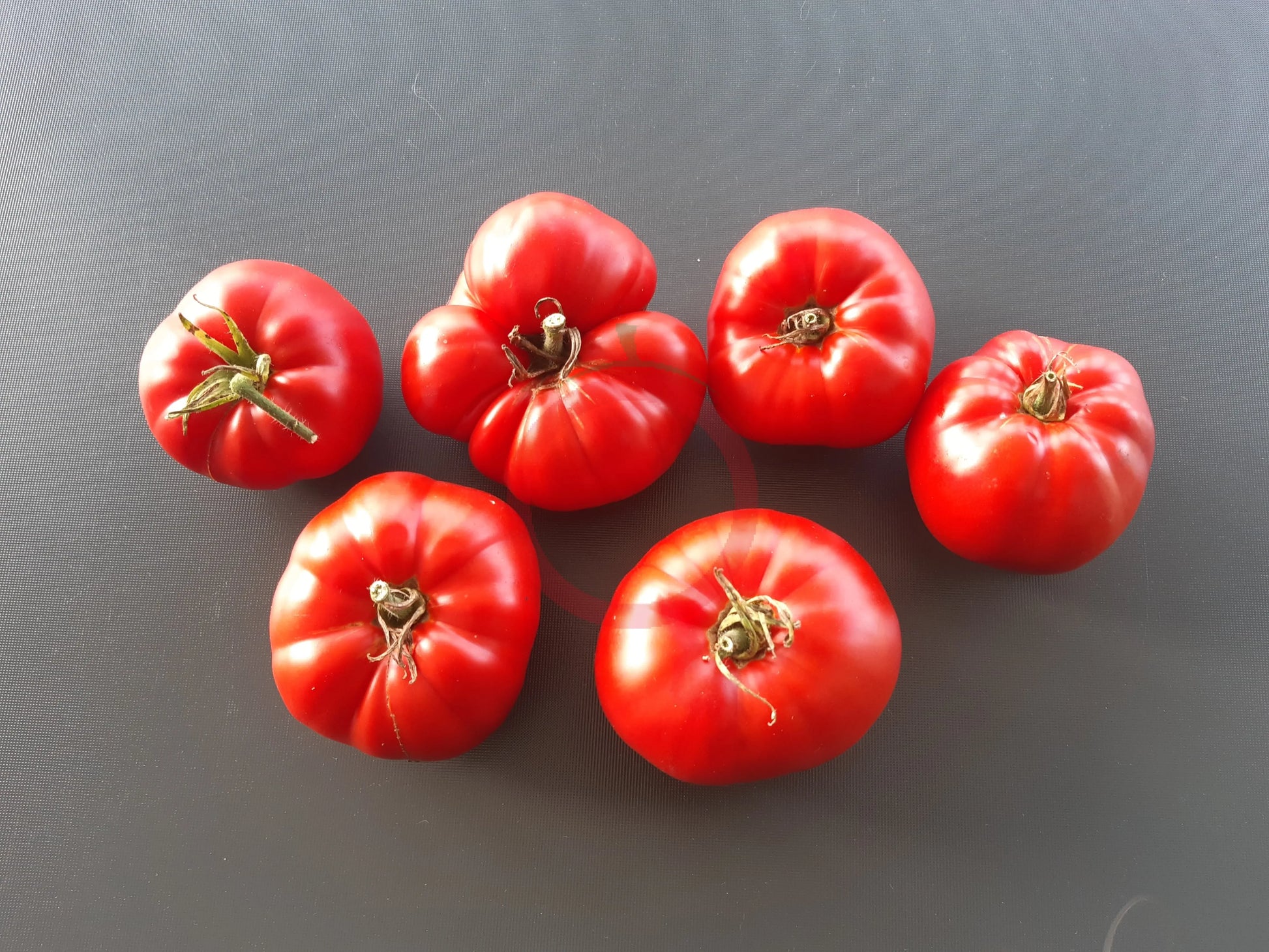 Capricorn DER TOMATENFLÜSTERER