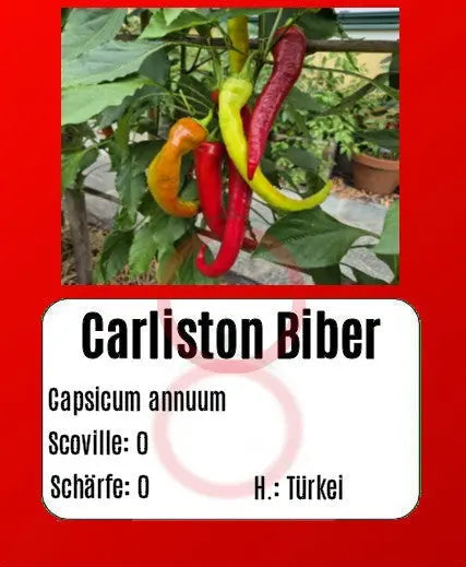 Carliston Biber DER TOMATENFLÜSTERER