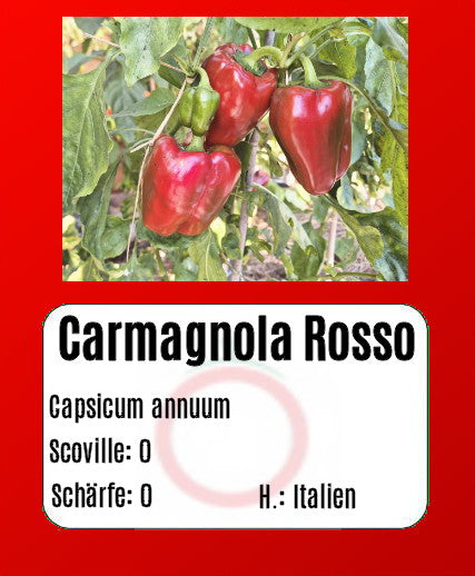 Carmagnola Rosso DER TOMATENFLÜSTERER