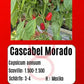Cascabel Morado DER TOMATENFLÜSTERER