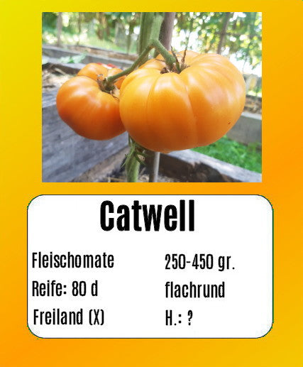 Catwell DER TOMATENFLÜSTERER