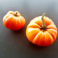 Catwell DER TOMATENFLÜSTERER