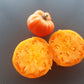 Catwell DER TOMATENFLÜSTERER