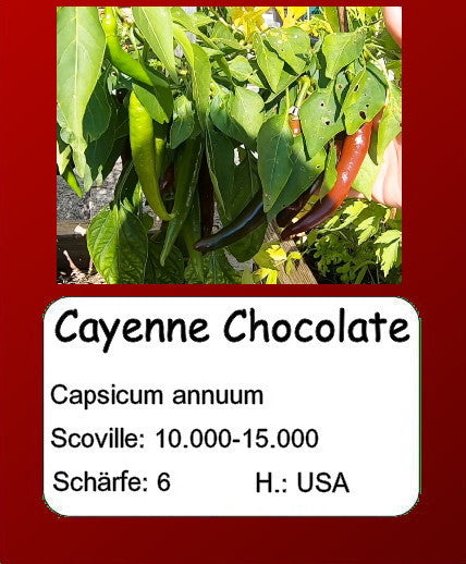 Cayenne Chocolate DER TOMATENFLÜSTERER