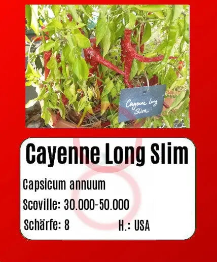 Cayenne Long Slim DER TOMATENFLÜSTERER
