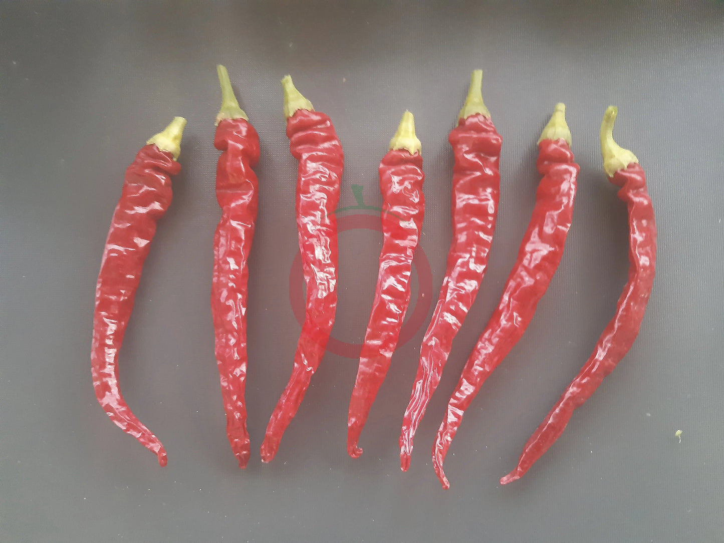 Cayenne Long Slim DER TOMATENFLÜSTERER