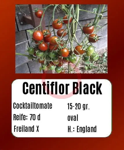 Centiflor Black DER TOMATENFLÜSTERER