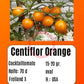 Centiflor Orange DER TOMATENFLÜSTERER