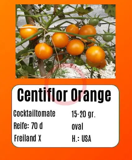 Centiflor Orange DER TOMATENFLÜSTERER