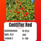 Centiflor Red DER TOMATENFLÜSTERER