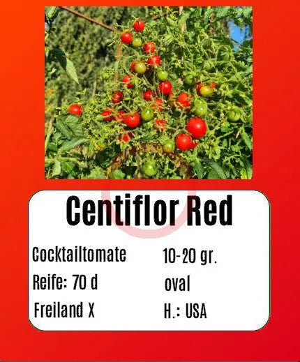 Centiflor Red DER TOMATENFLÜSTERER