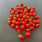 Centiflor Red DER TOMATENFLÜSTERER