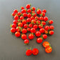 Centiflor Red DER TOMATENFLÜSTERER