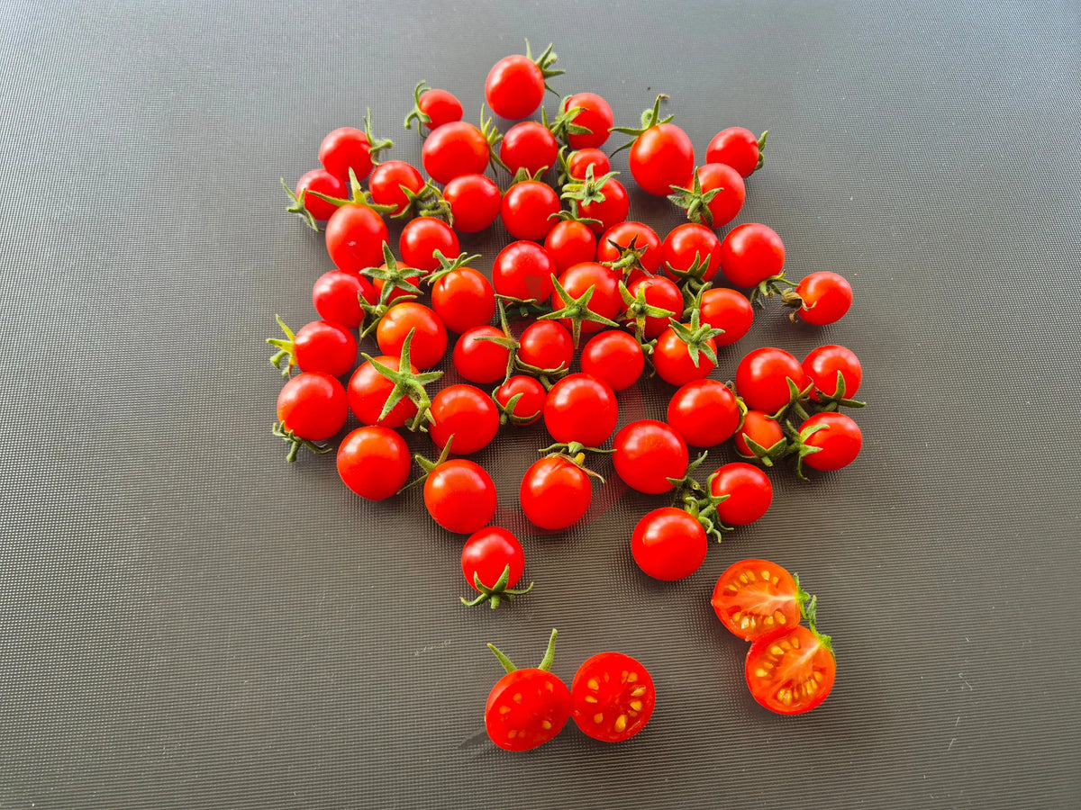 Centiflor Red DER TOMATENFLÜSTERER