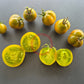Chad´s Ford Green DER TOMATENFLÜSTERER