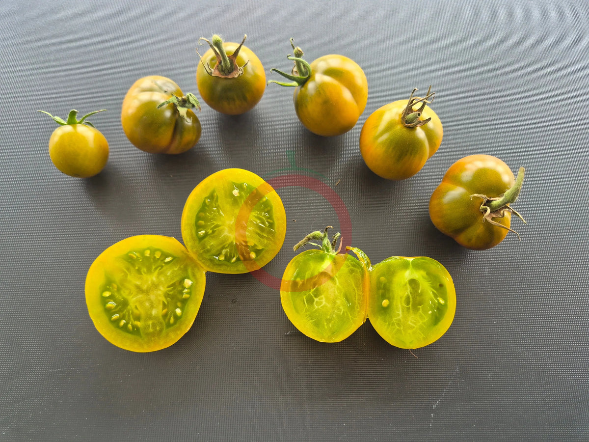 Chad´s Ford Green DER TOMATENFLÜSTERER