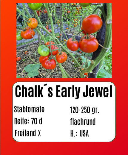 Chalk´s Early Jewel DER TOMATENFLÜSTERER
