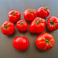 Chalk´s Early Jewel DER TOMATENFLÜSTERER
