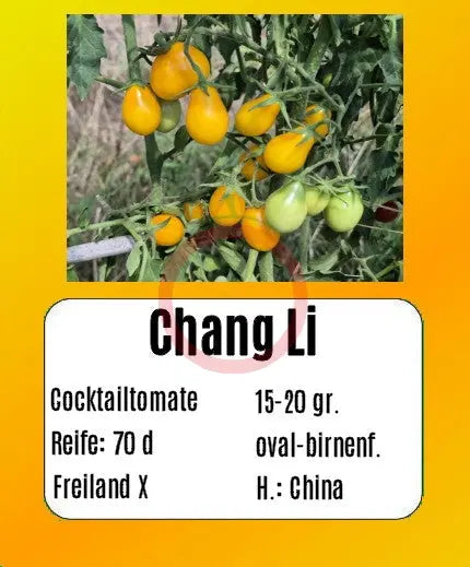 Chang Li DER TOMATENFLÜSTERER