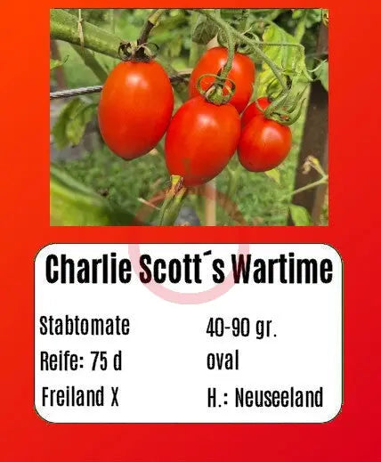 Charlie Scott´s Wartime DER TOMATENFLÜSTERER