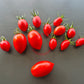 Charlie Scott´s Wartime DER TOMATENFLÜSTERER
