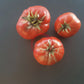 Chateau de Chartres DER TOMATENFLÜSTERER
