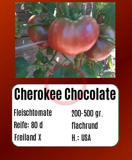 Cherokee Chocolate DER TOMATENFLÜSTERER