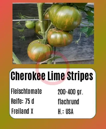 Cherokee Lime Stripes DER TOMATENFLÜSTERER