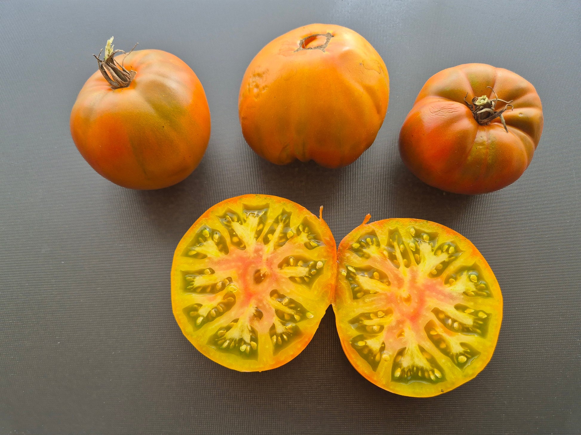 Cherokee Lime Stripes F3 ´Bronze´ DER TOMATENFLÜSTERER