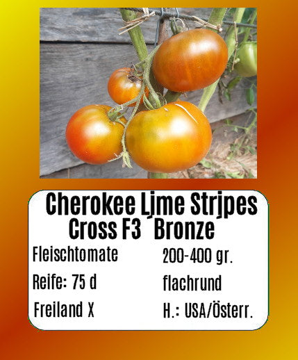Cherokee Lime Stripes F3 ´Bronze´ (Kopie) DER TOMATENFLÜSTERER