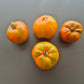 Cherokee Lime Stripes F3 ´Bronze´ (Kopie) DER TOMATENFLÜSTERER