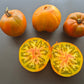 Cherokee Lime Stripes F3 ´Bronze´ (Kopie) DER TOMATENFLÜSTERER