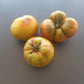 Cherokee Lime Stripes Kreuzung F2 DER TOMATENFLÜSTERER
