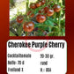 Cherokee Purple Cherry DER TOMATENFLÜSTERER