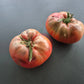Cherokee Purple DER TOMATENFLÜSTERER