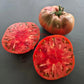 Cherokee Purple DER TOMATENFLÜSTERER