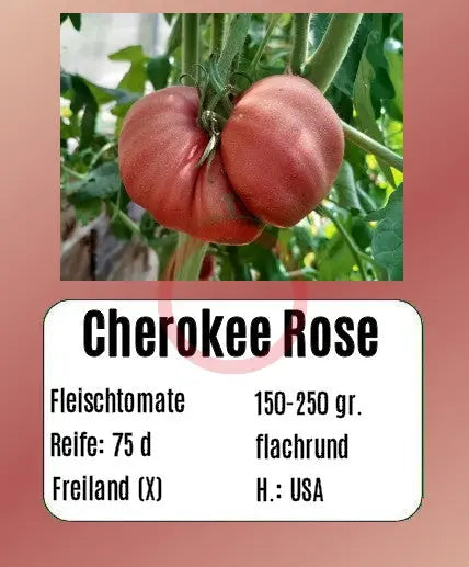 Cherokee Rose DER TOMATENFLÜSTERER
