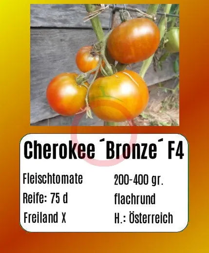 Cherokee ´Bronze´ F4 DER TOMATENFLÜSTERER