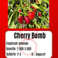 Cherry Bomb DER TOMATENFLÜSTERER