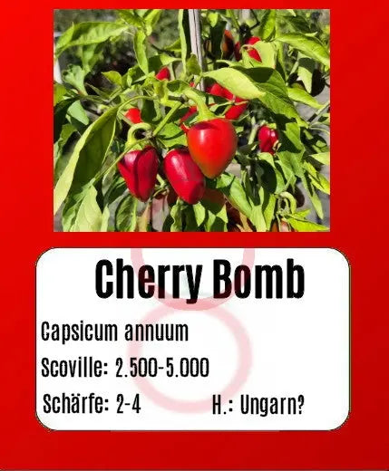 Cherry Bomb DER TOMATENFLÜSTERER