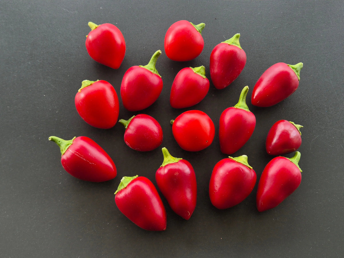 Cherry Bomb DER TOMATENFLÜSTERER