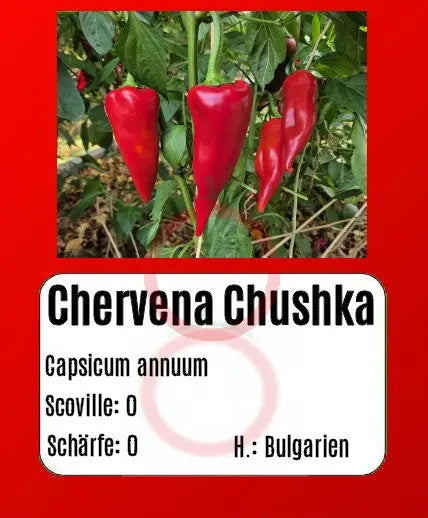 Chervena Chushka DER TOMATENFLÜSTERER