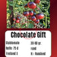 Chocolate Gift DER TOMATENFLÜSTERER