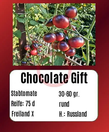 Chocolate Gift DER TOMATENFLÜSTERER