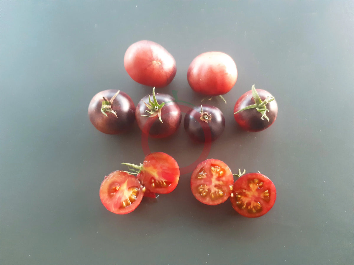 Chocolate Gift DER TOMATENFLÜSTERER