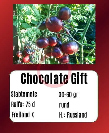 Chocolate Gift DER TOMATENFLÜSTERER