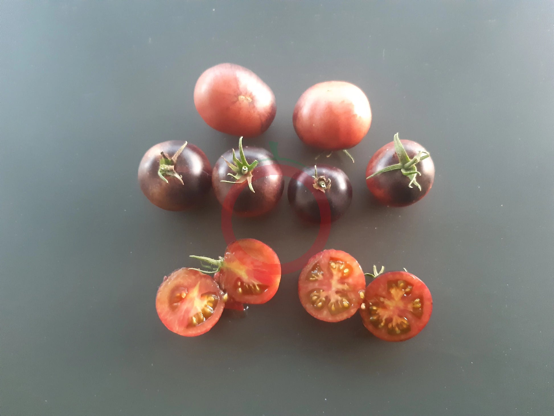 Chocolate Gift DER TOMATENFLÜSTERER