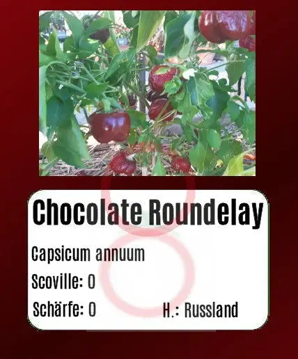 Chocolate Roundelay DER TOMATENFLÜSTERER